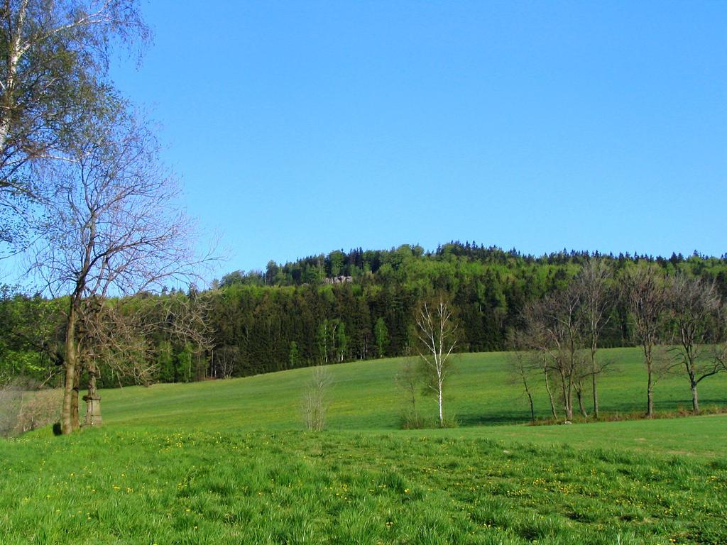 Roubenka Elisabeth Hotel Jablonné nad Orlicí Kültér fotó
