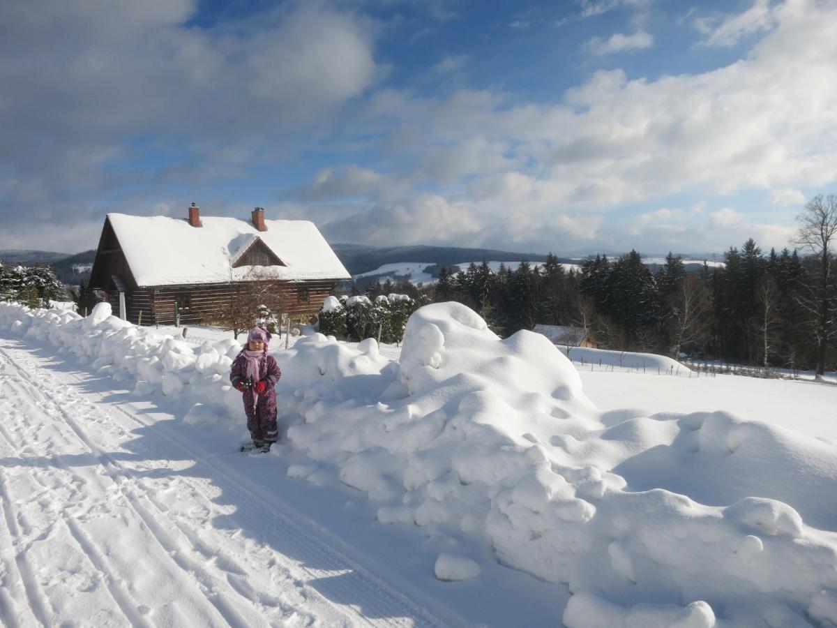 Roubenka Elisabeth Hotel Jablonné nad Orlicí Kültér fotó